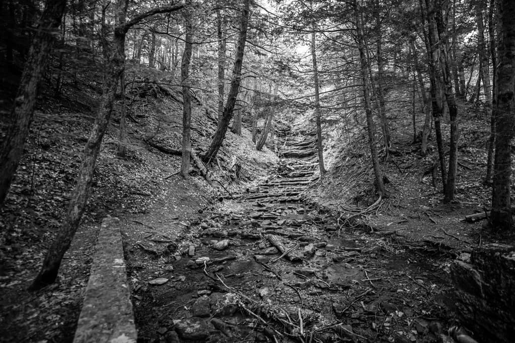 Waterfall Pathway