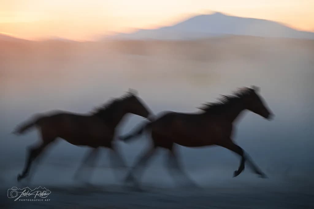 Pegasus Run