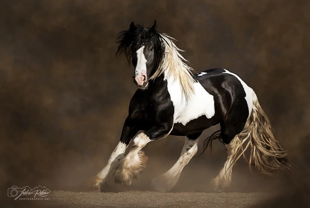 Pegasus in Motion