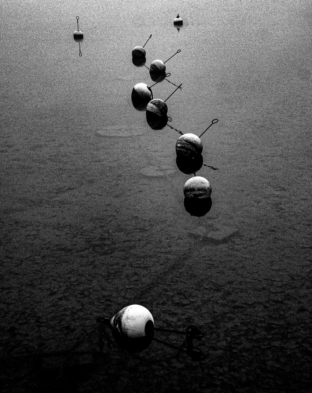 Serene Monochrome Reflections: A Dance of Buoys on Still Water