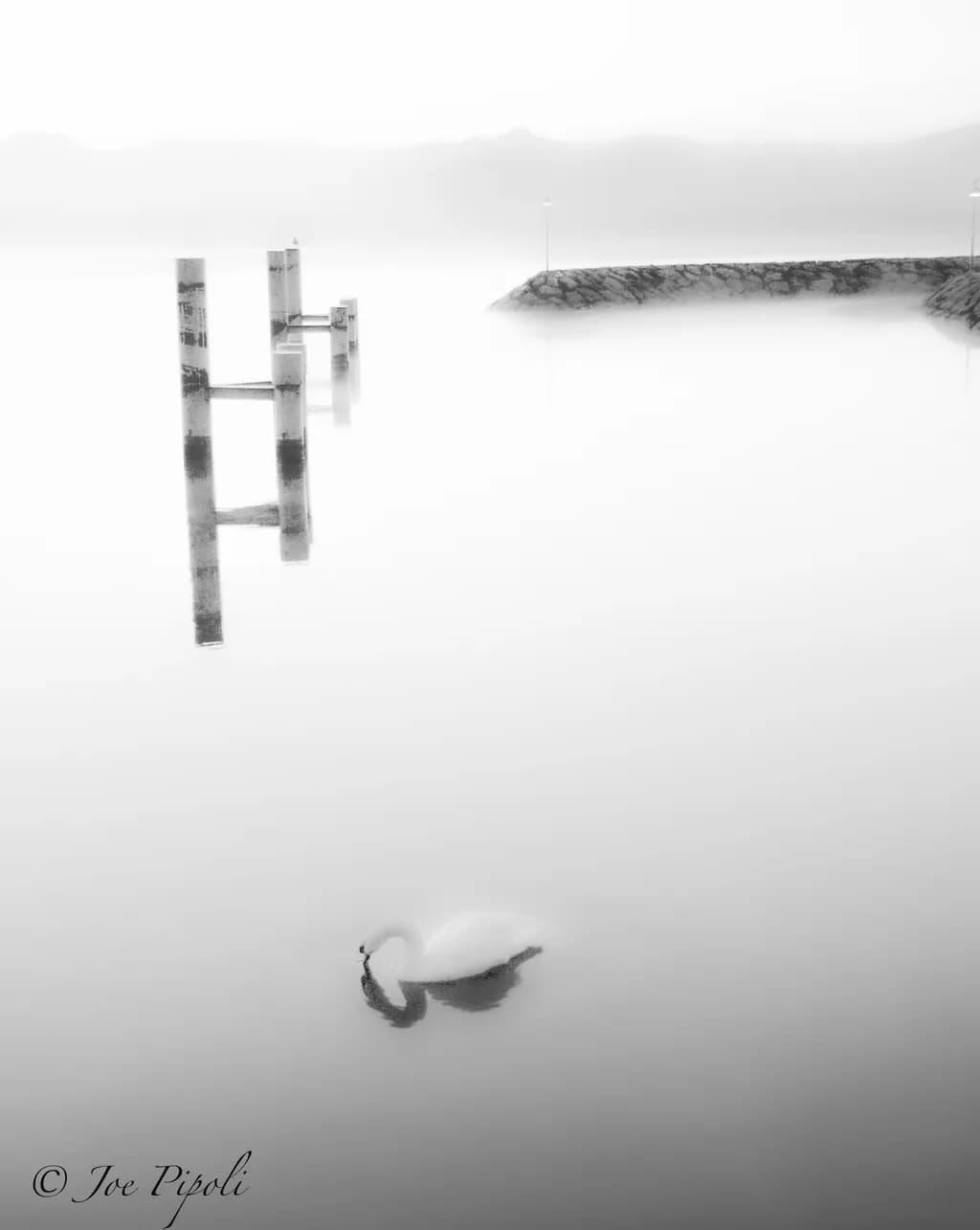 Misty Elegance