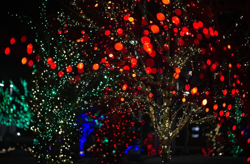 Festive Night Light Glow