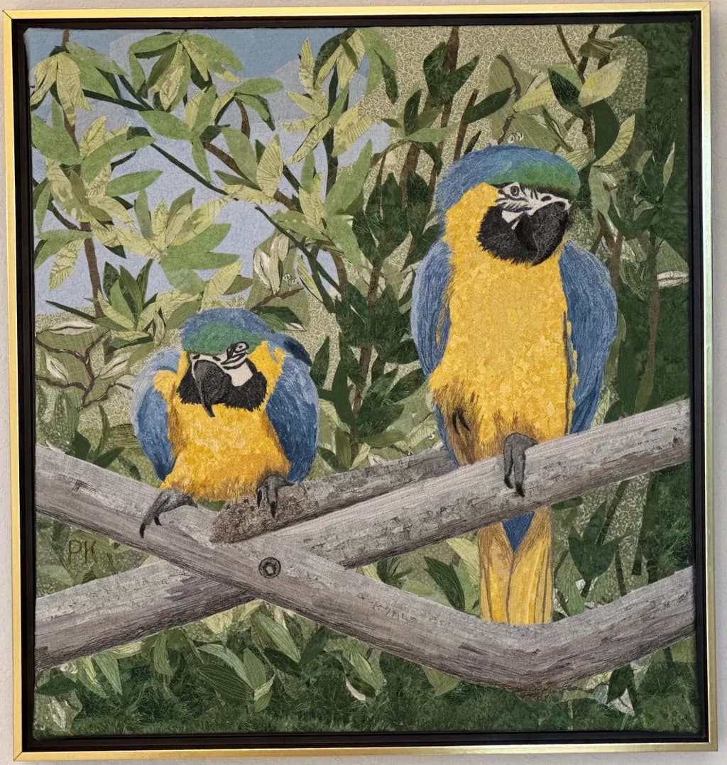 Whimsical Companions: A Vibrant Encounter with Macaws in Nature