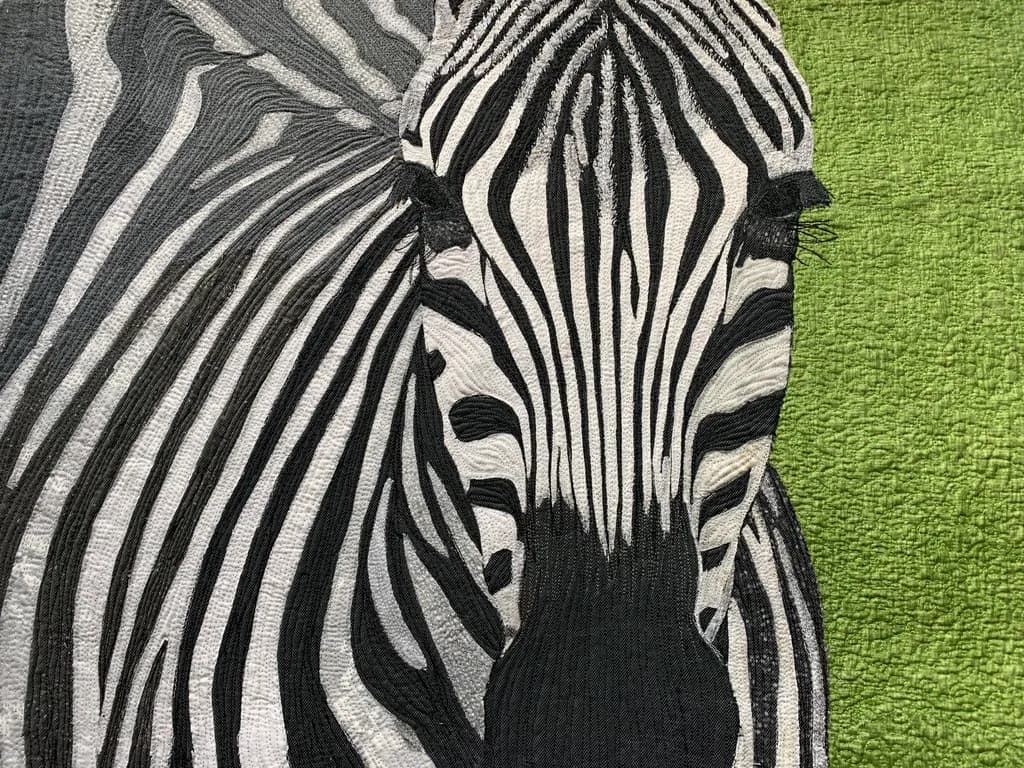 Zebra's Whisper: A Textured Journey Through Nature's Stripes