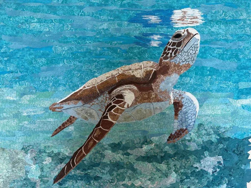Turtle Ascent