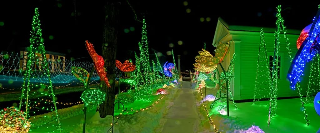 "Illuminated Pathways"