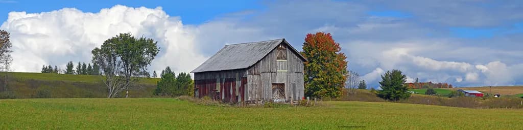 Autumn Toner Farm Barn