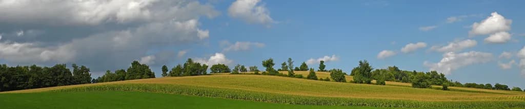 Upstate Fields Panorama