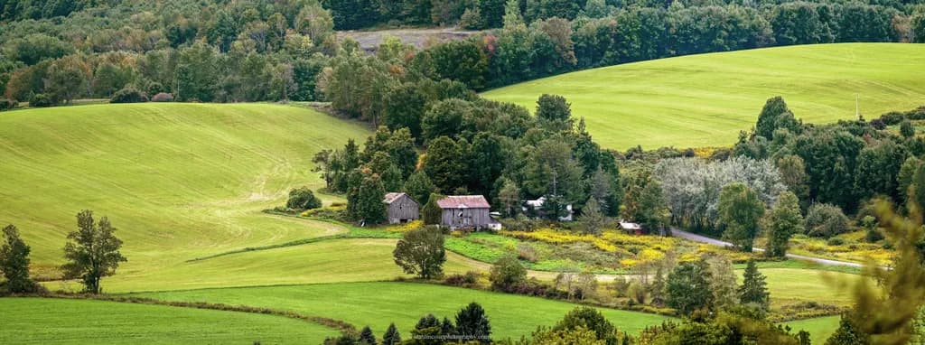Peaceful Upstate Homestead