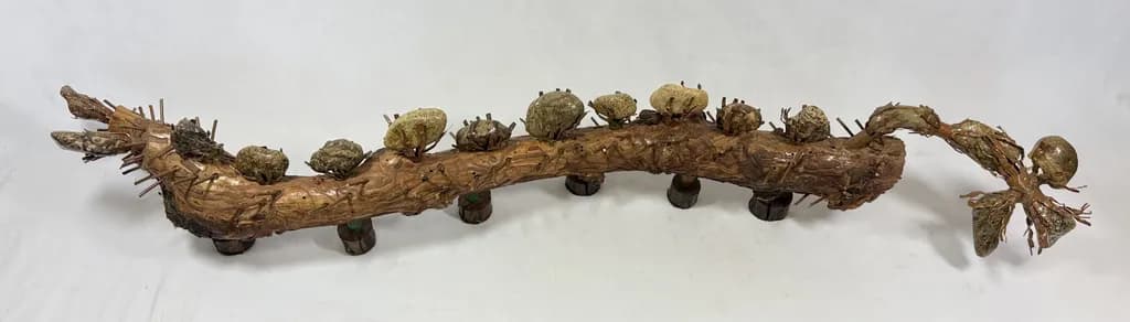 Nature's Driftwood Journey