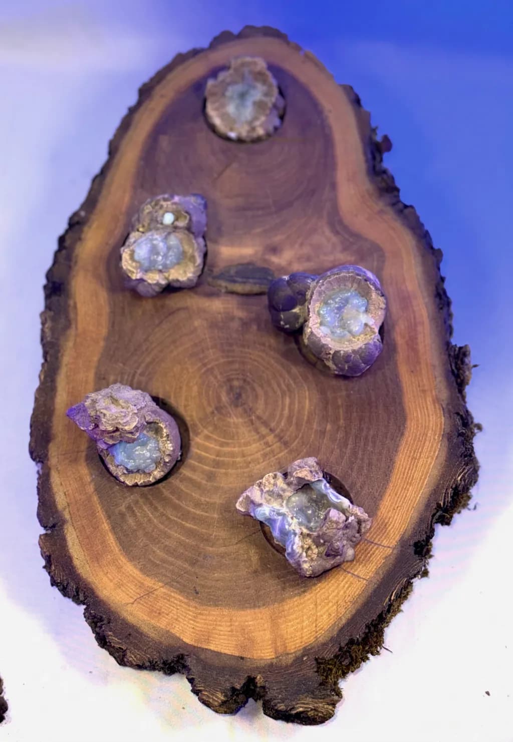 Geode Cluster on Wood Slab