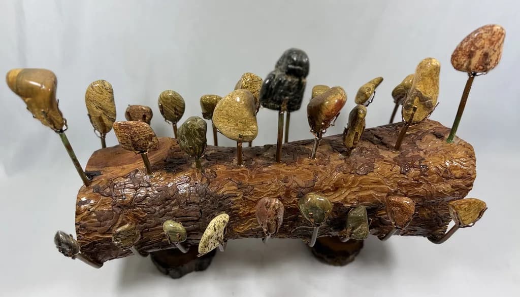 WOODEN WONDER