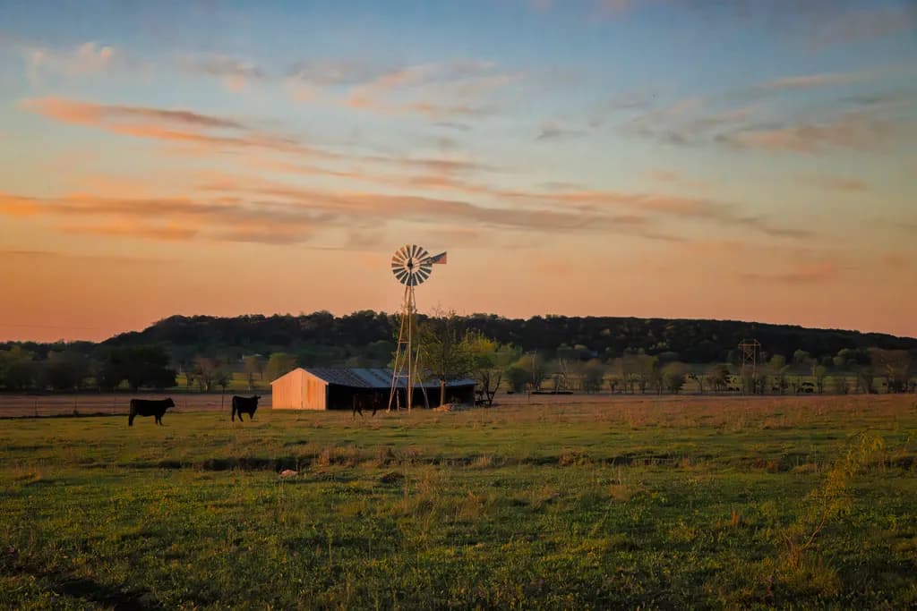 Sunset Farm