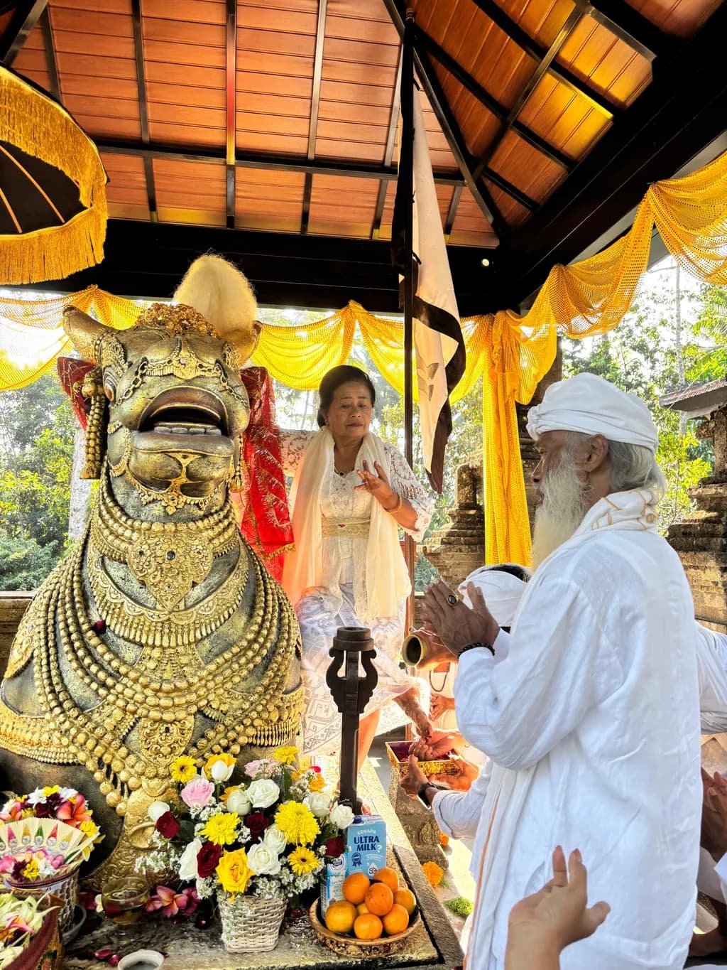 Balinese Bull Ceremony