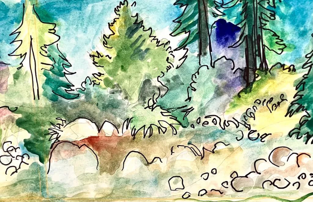 Forest Rocks View