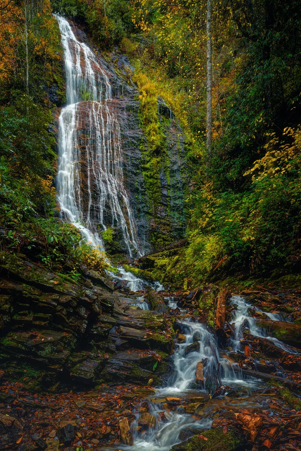 Whispers of Water: A Journey Through Autumn's Cascade