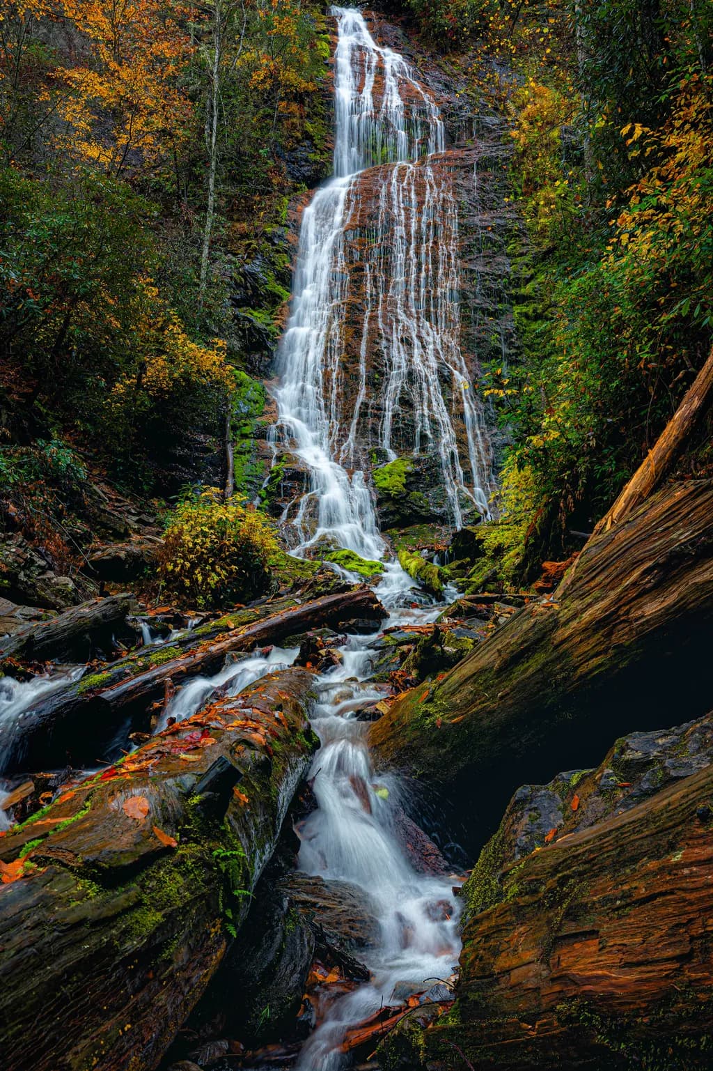 Whispers of Autumn: A Tranquil Waterfall Journey Through the Forest