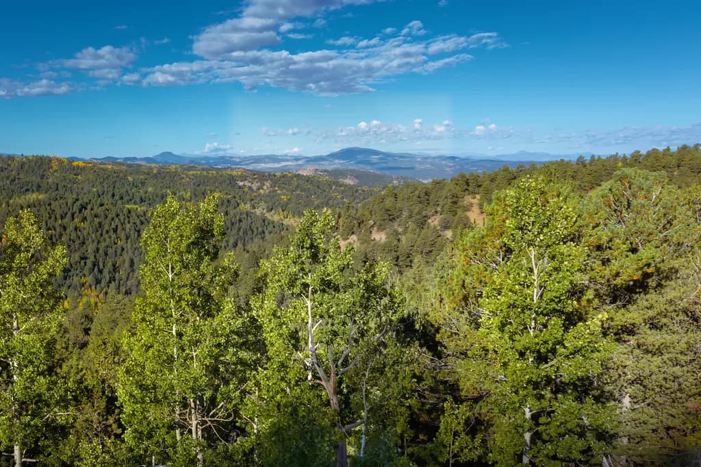 Highway 67 Vista