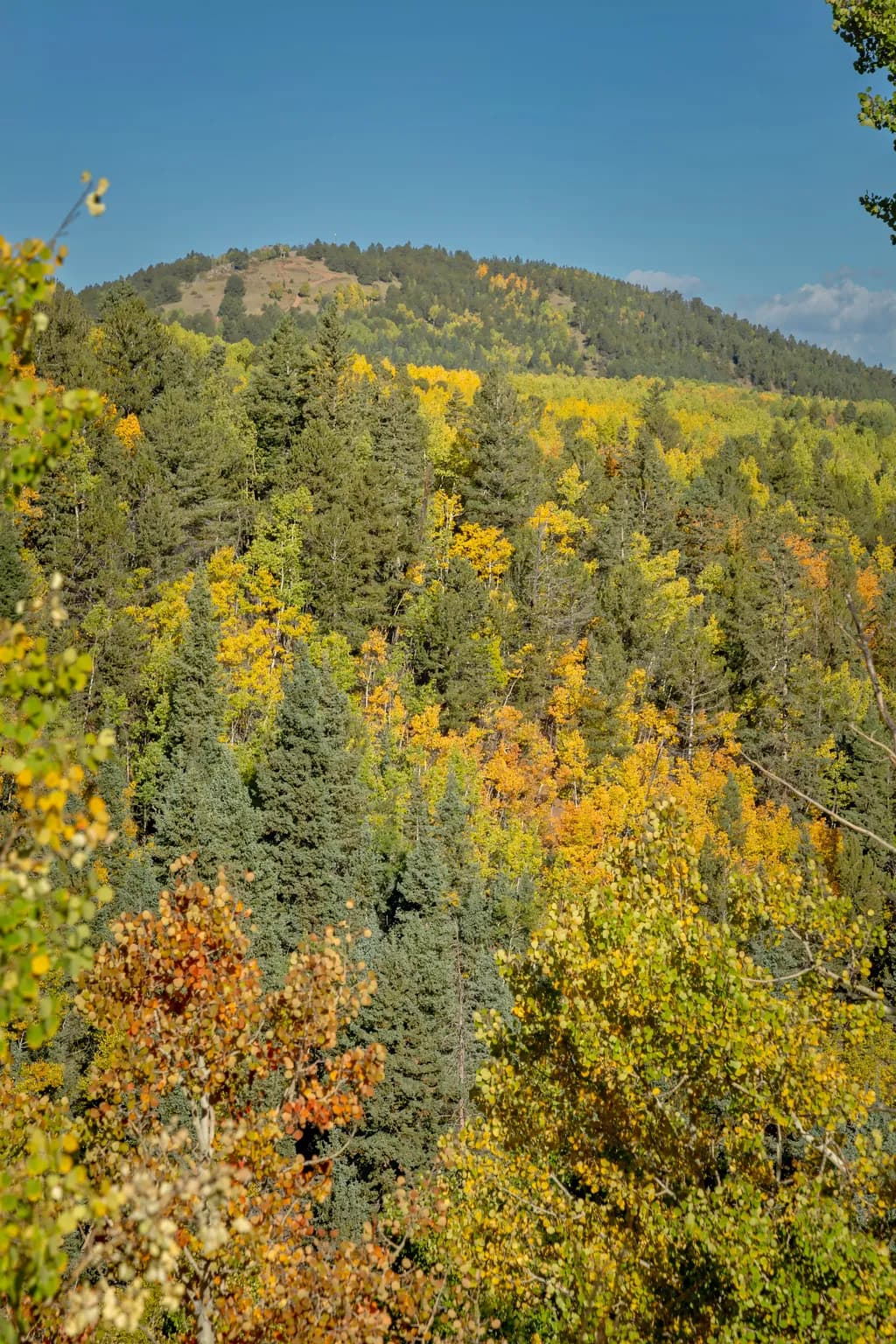 Highway 67 Topaz View
