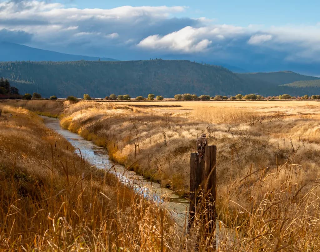 Golden Serenity: A Tranquil River Landscape in Del Norte County's Embrace