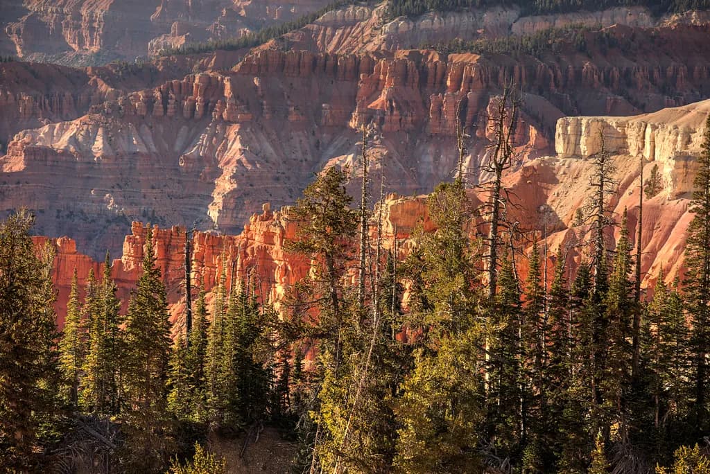 Cedar Breaks Backdrop