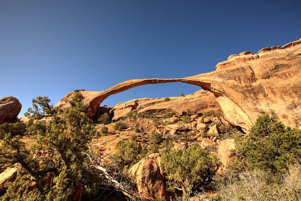 Landscape Arches