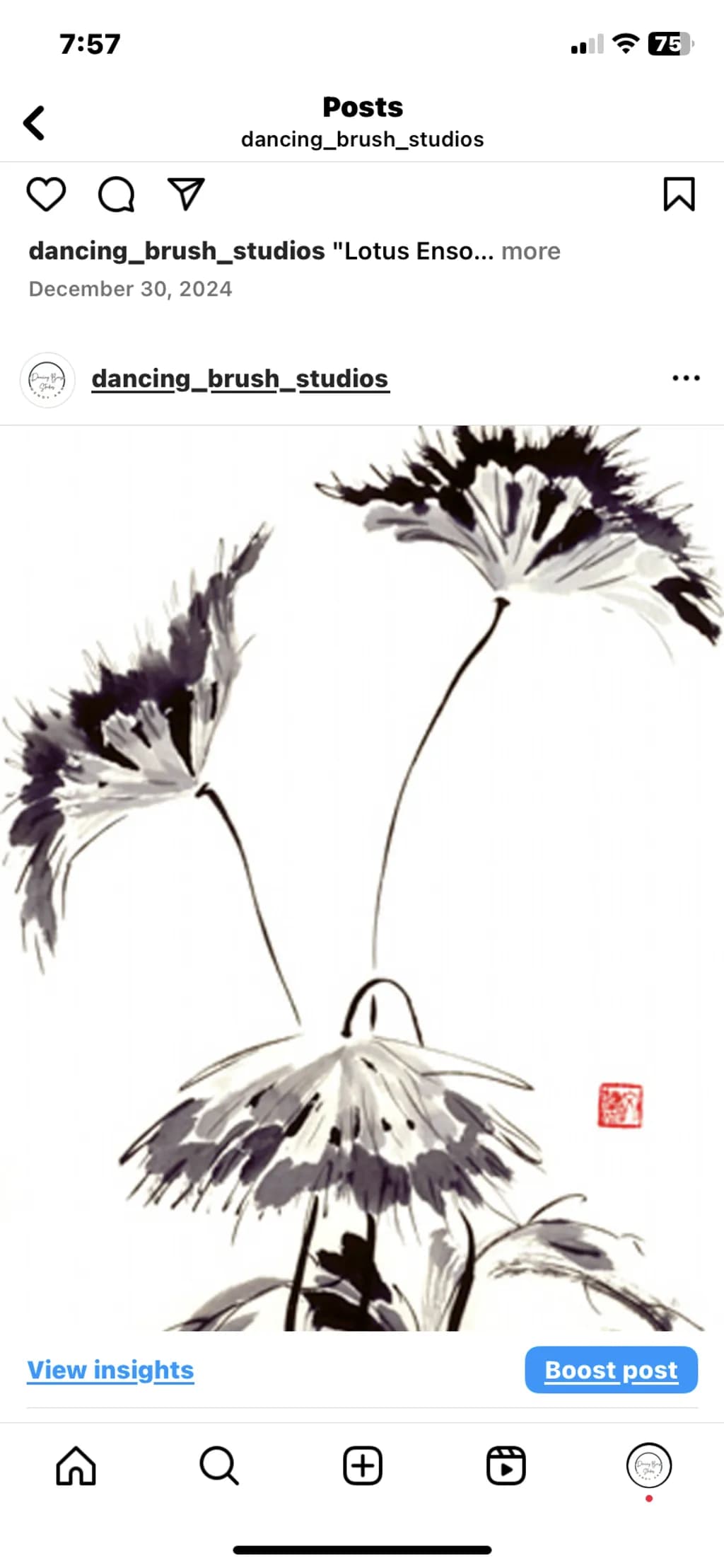 Lotus Enso Blossom