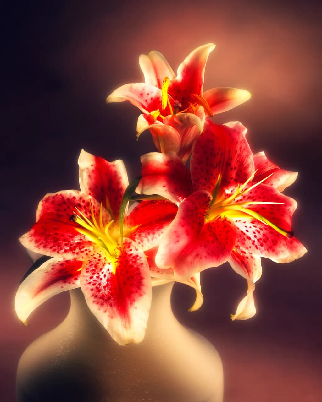 Lillies Radiance