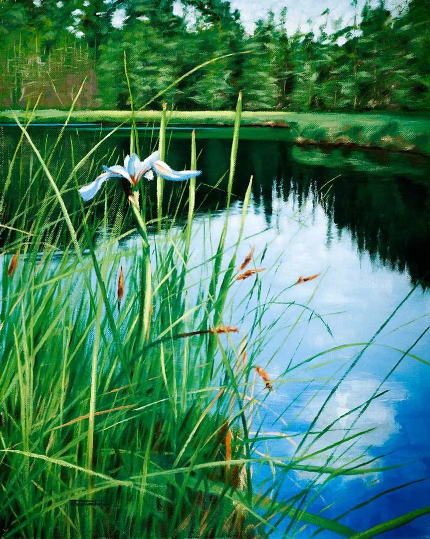 Blue Flag Serenity