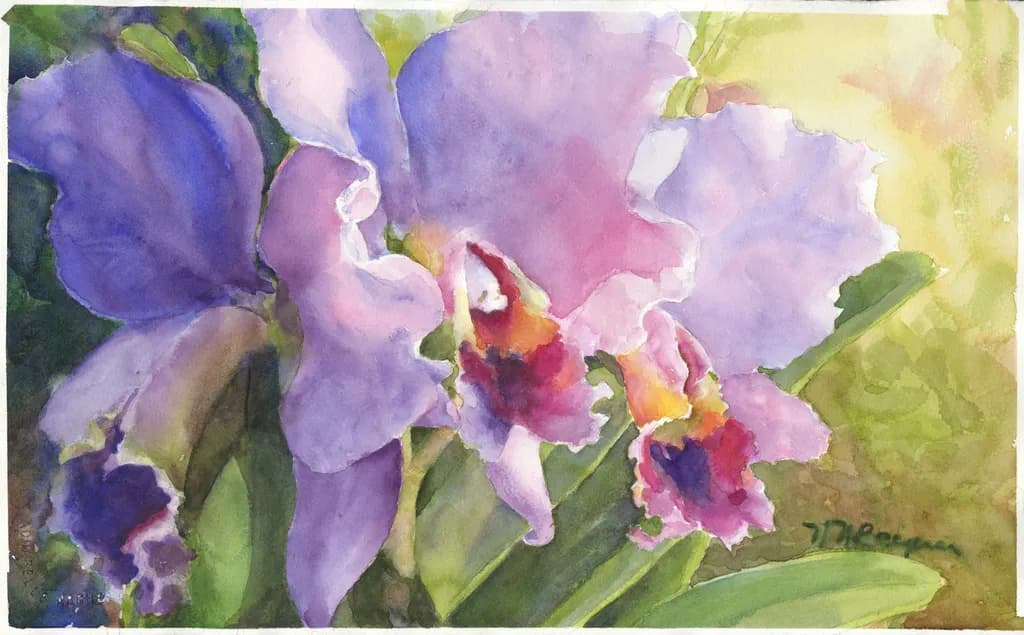 New Day Orchids