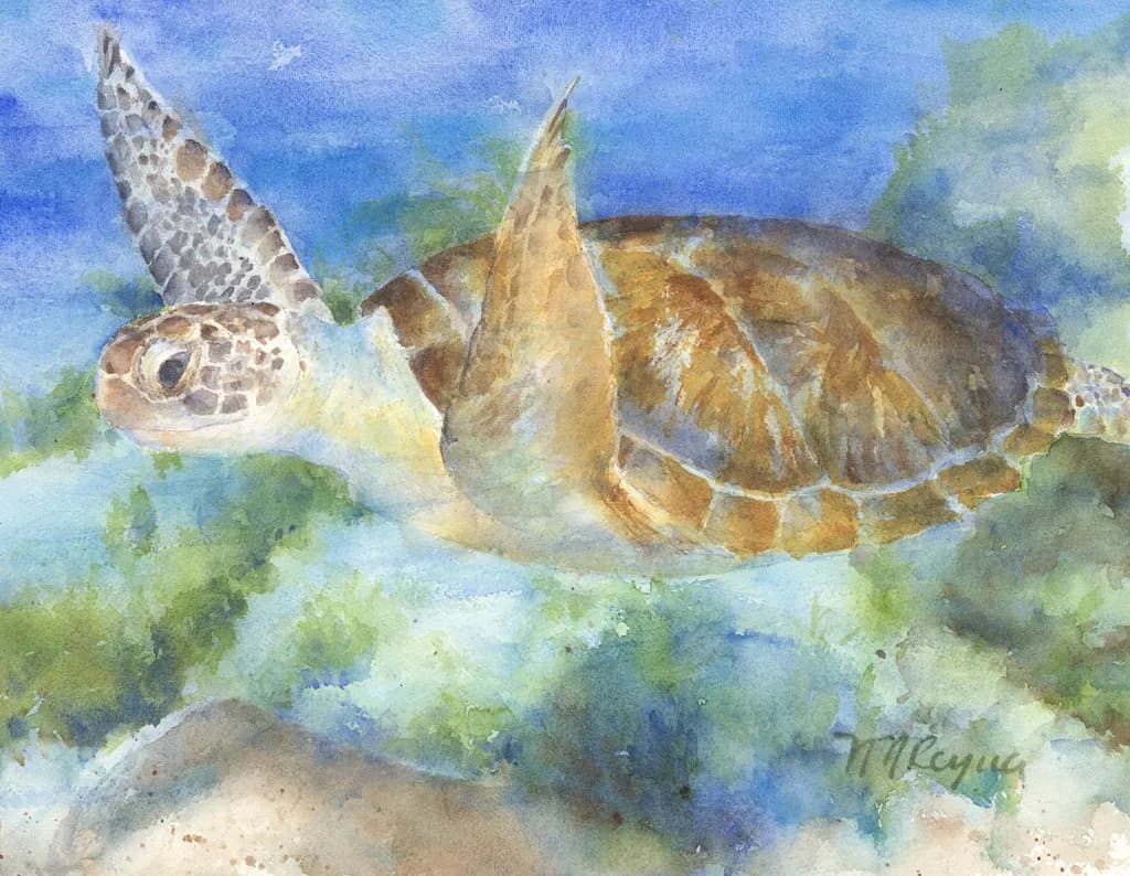 Green Sea Turtle