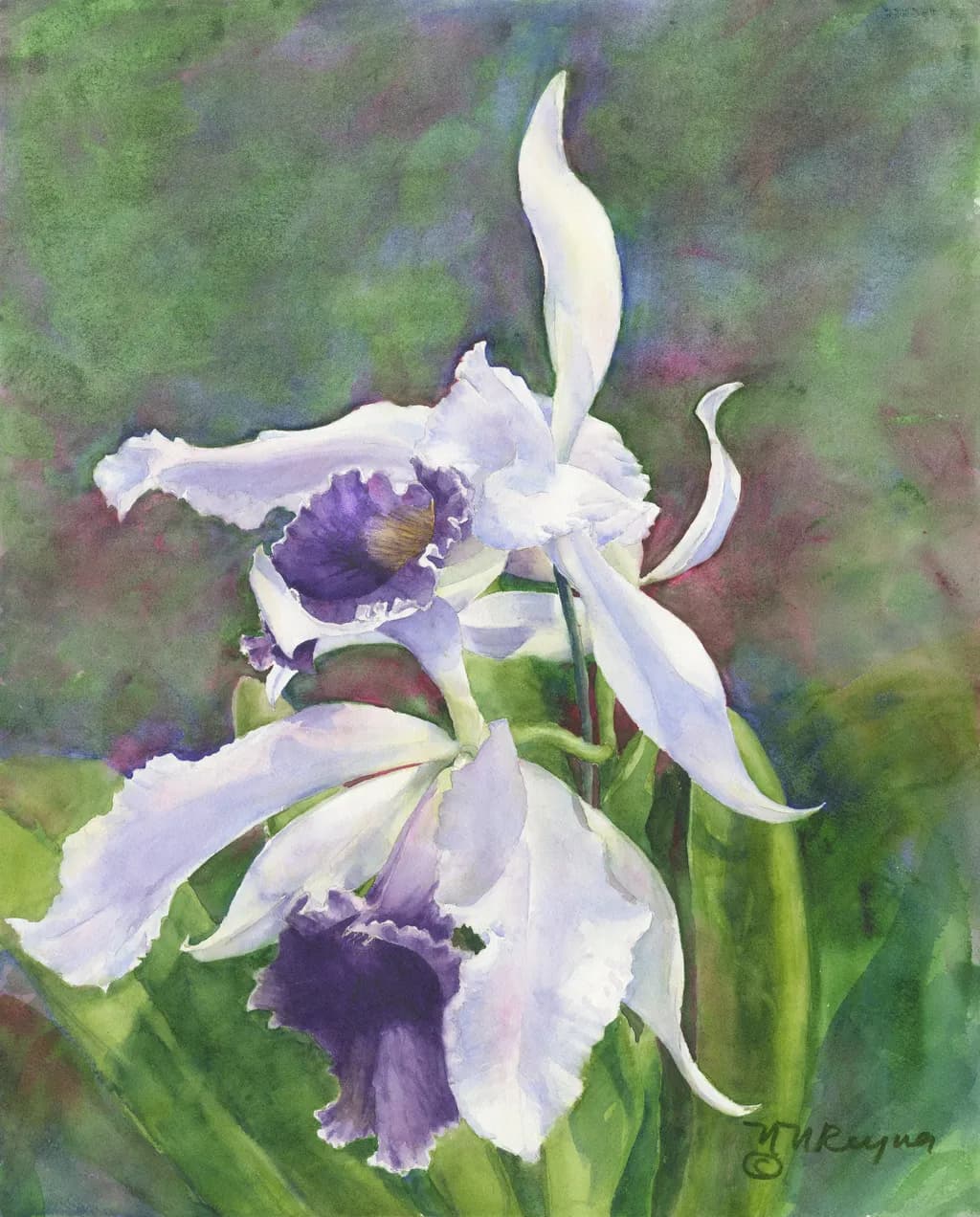 Lovely Laelia