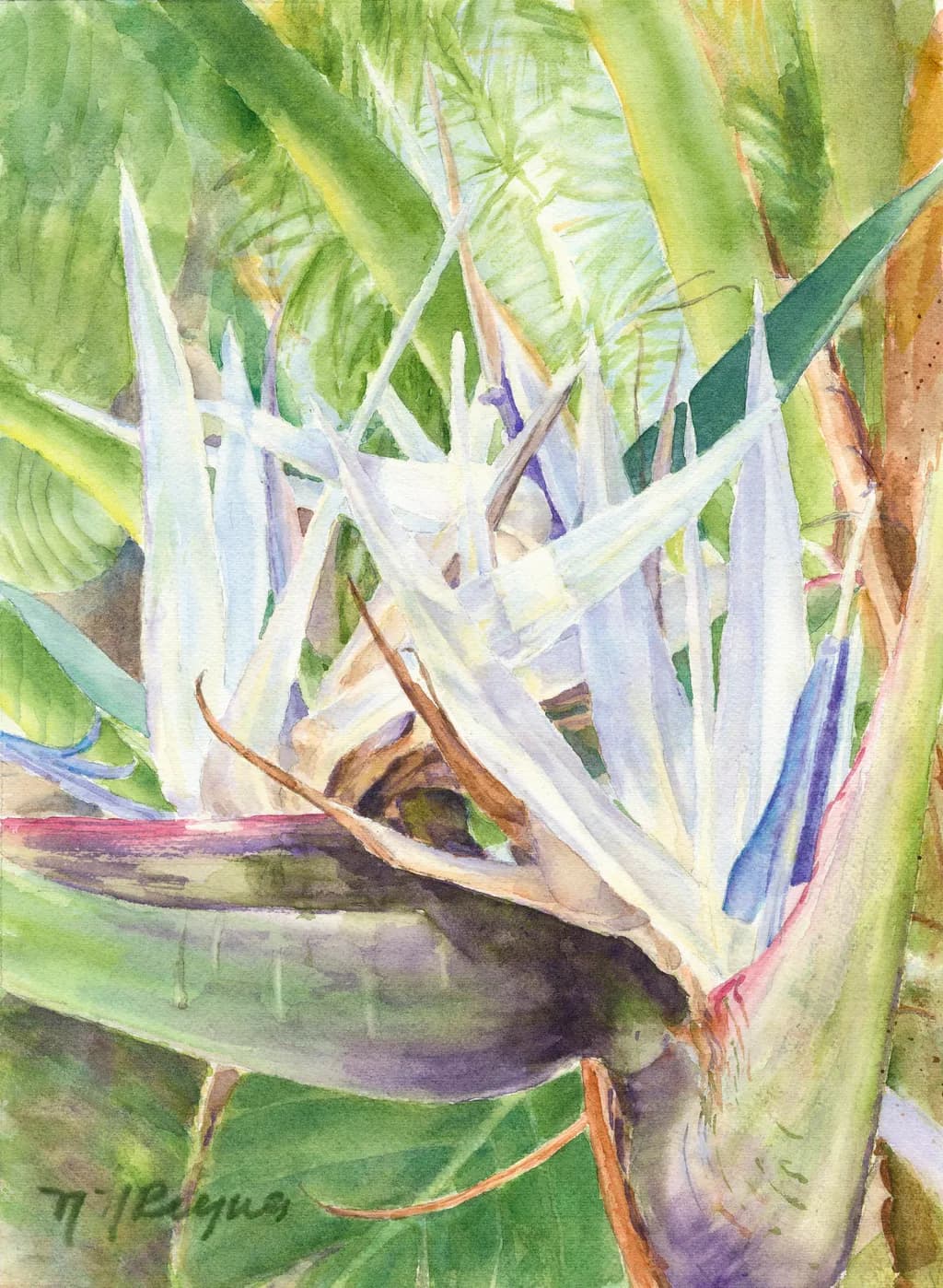 Tropical Bloom