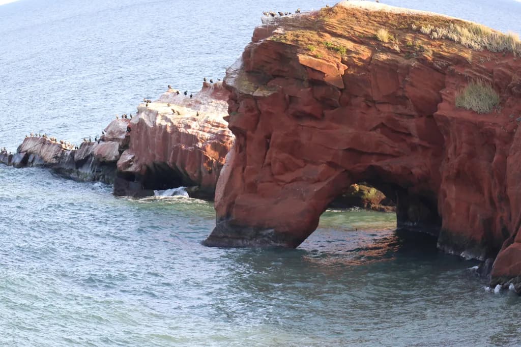 Red Rock Sea Arch