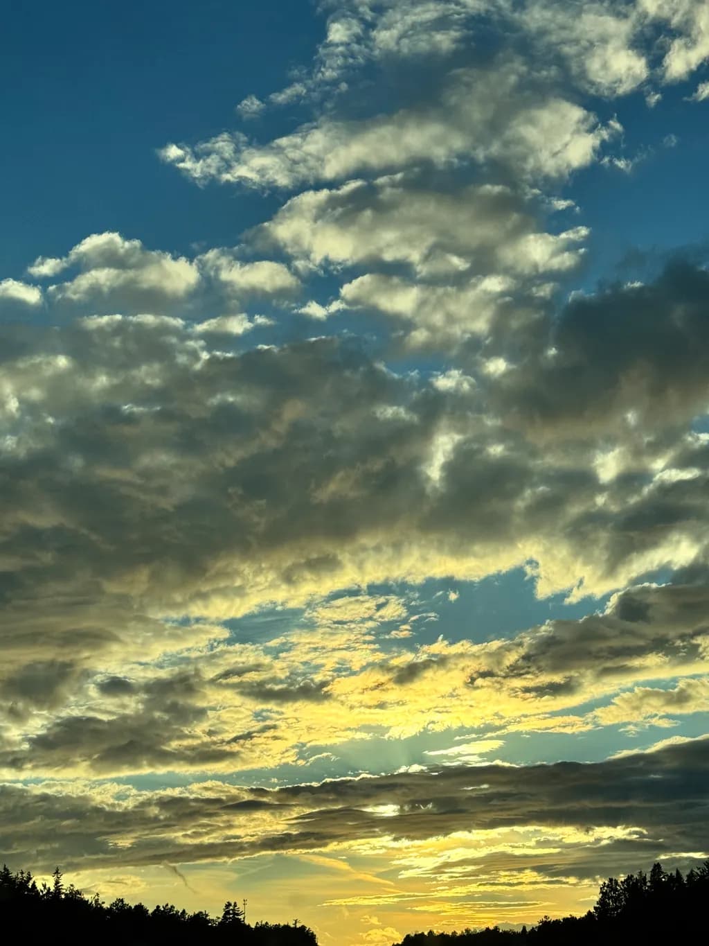 Golden Sky Over Pines