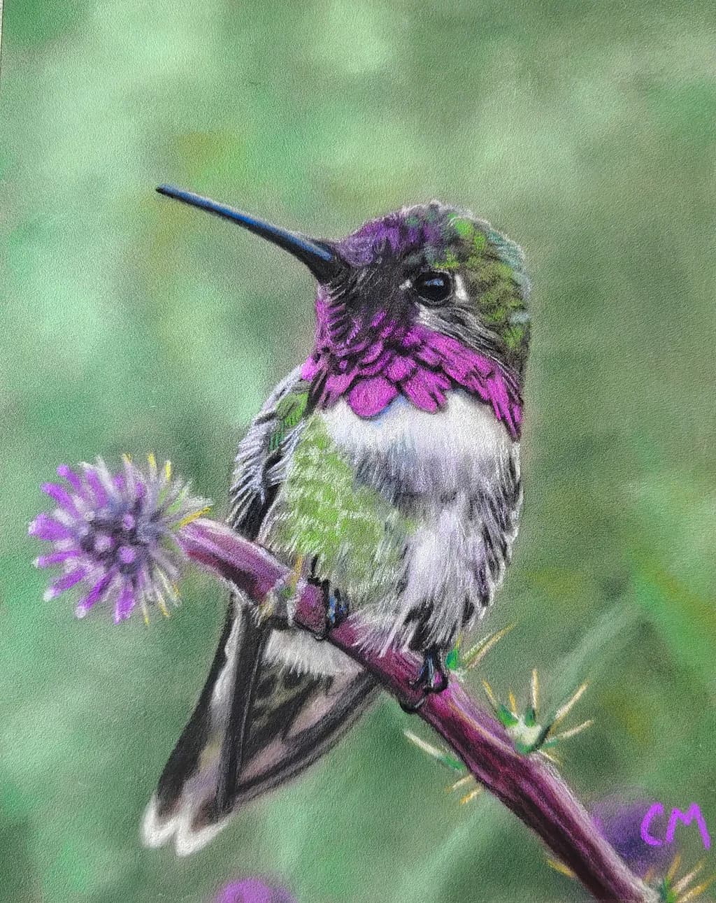 Hummingbird Harmony