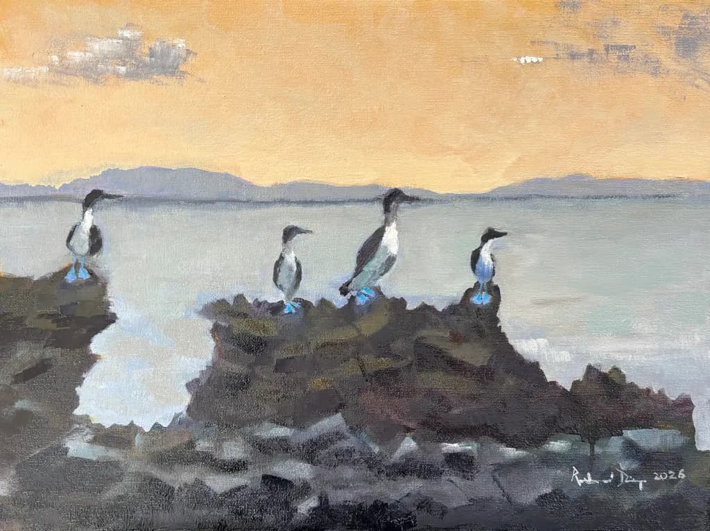 Seascape Birds on Rocks