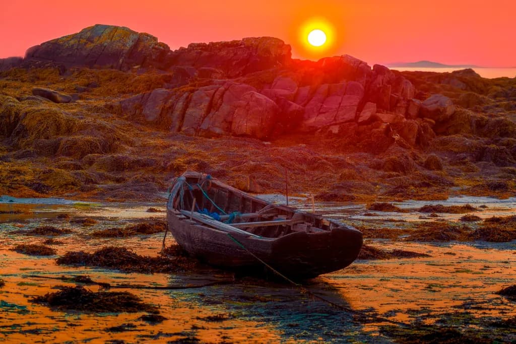 Serenity at Sunset: A Tranquil Landscape of Seaweed and Rocks with a Lonely Boat