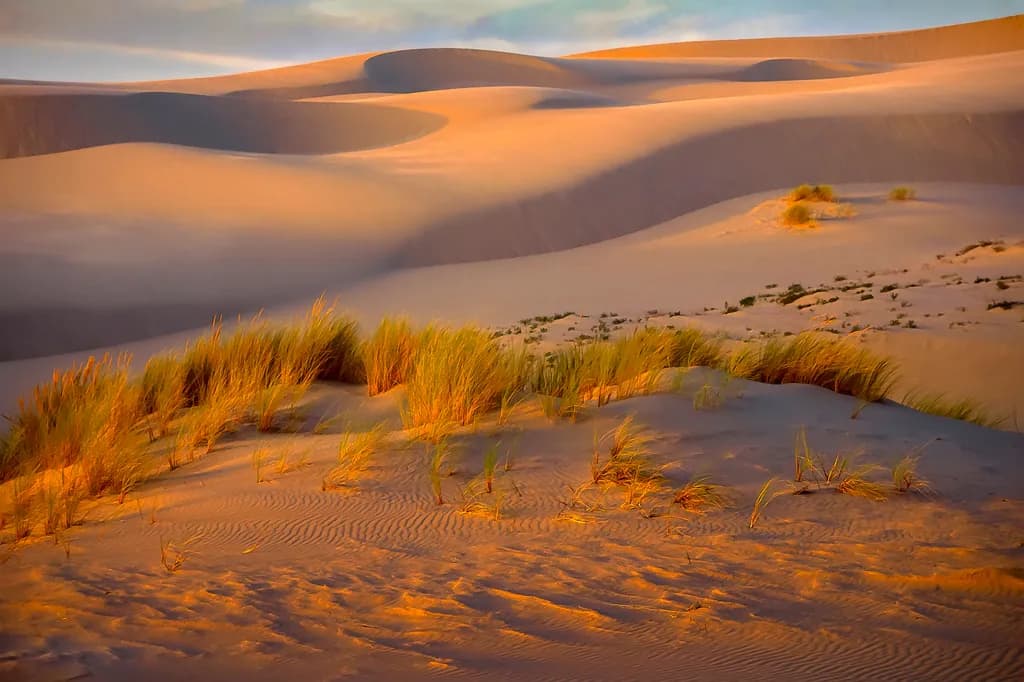 Whispers of the Desert: A Serene Landscape of Dunes and Grass