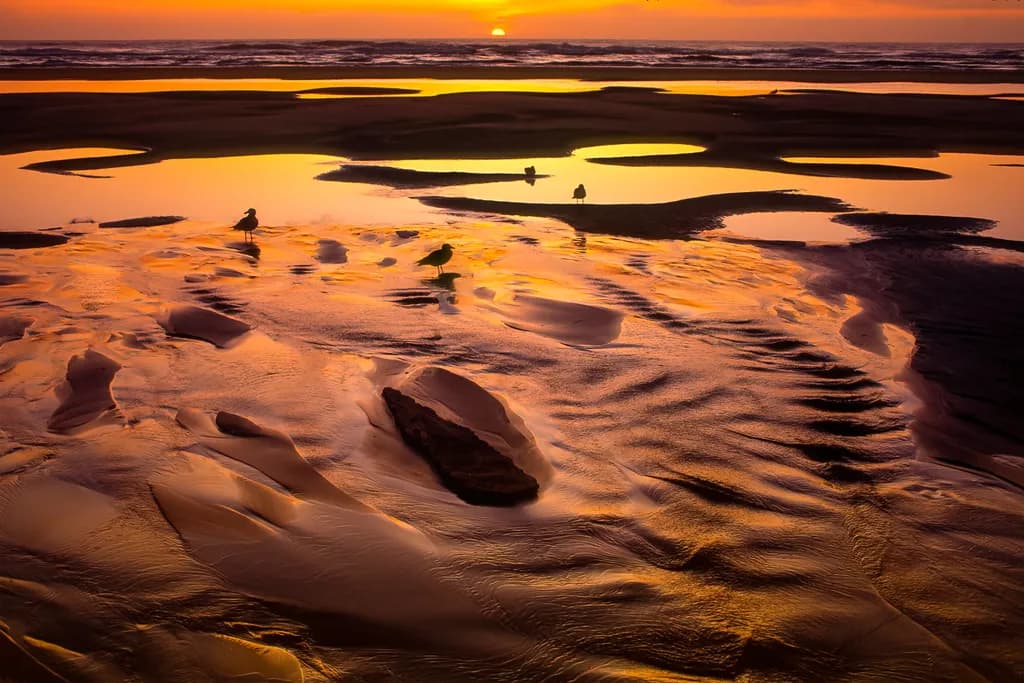 Golden Reflections: A Serene Sunset Over the Tidal Sands