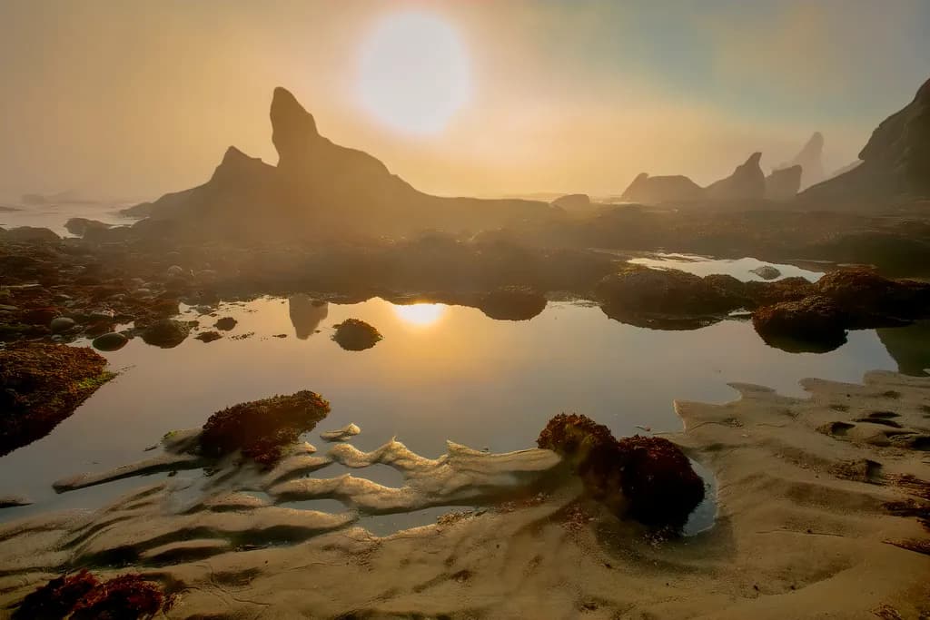 Whispers of the Shore: A Serene Sunset Reflection on the Rocky Coastline