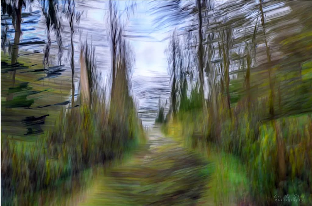 The Forest Calls To Me.