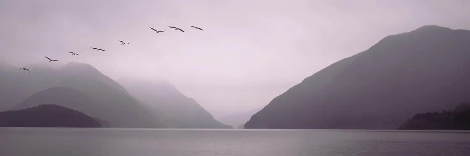 Profilbanner