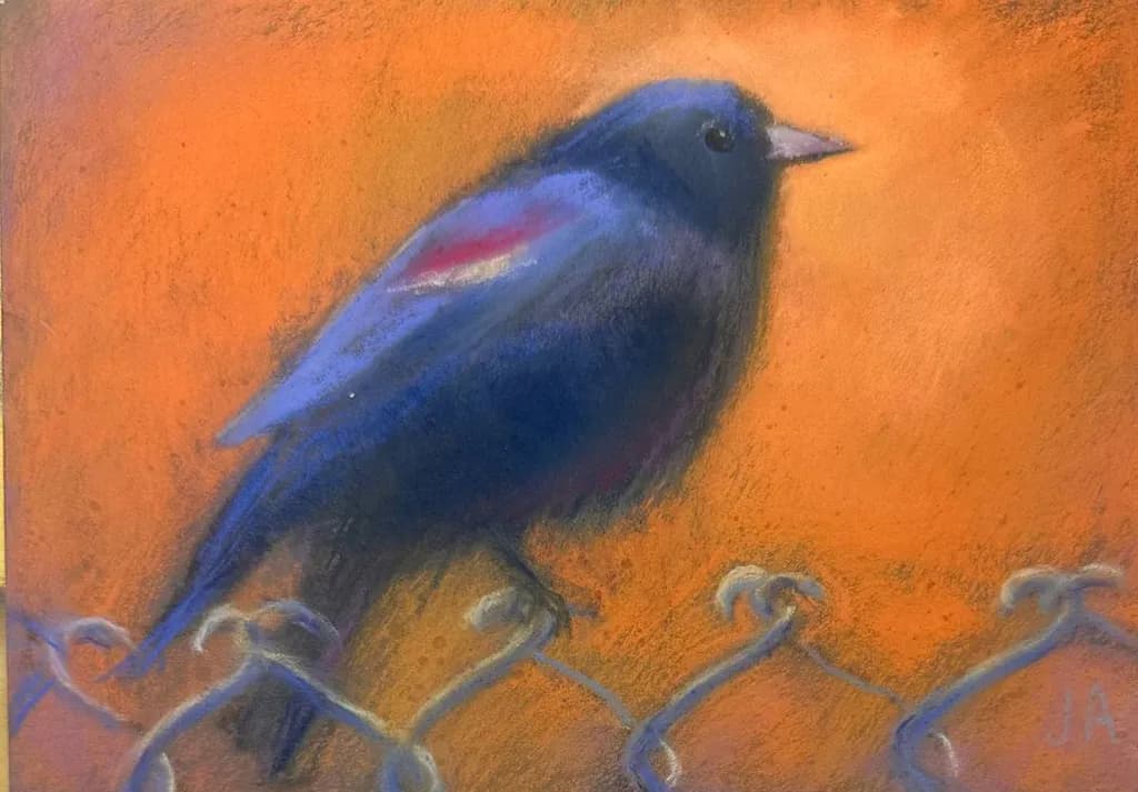 Blackbird Sitting