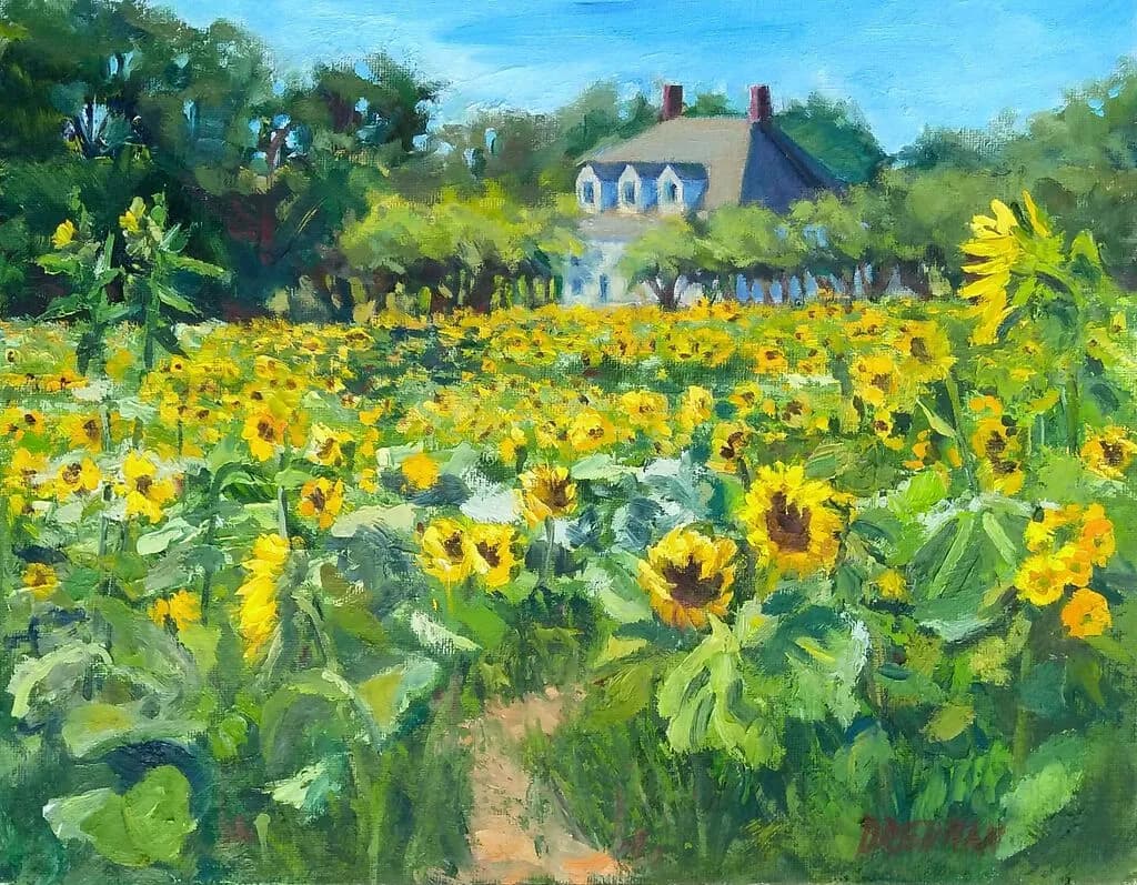 Sunflower Fields Forever