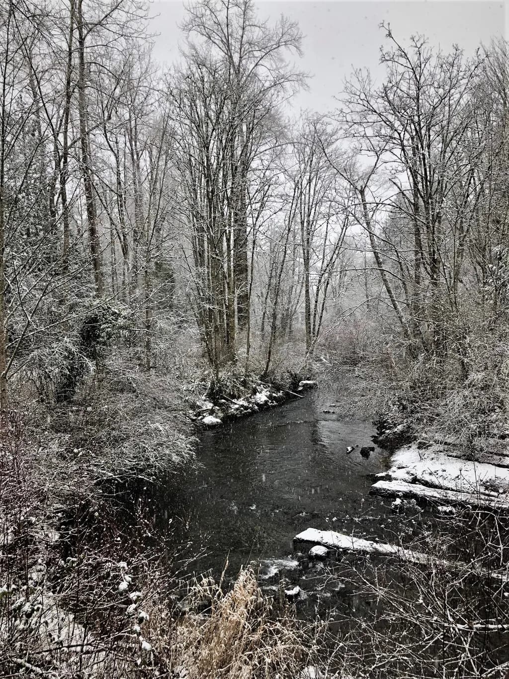 Falls Park Stream