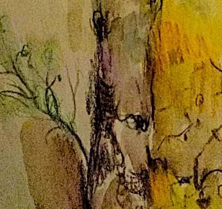 Tree Sketch