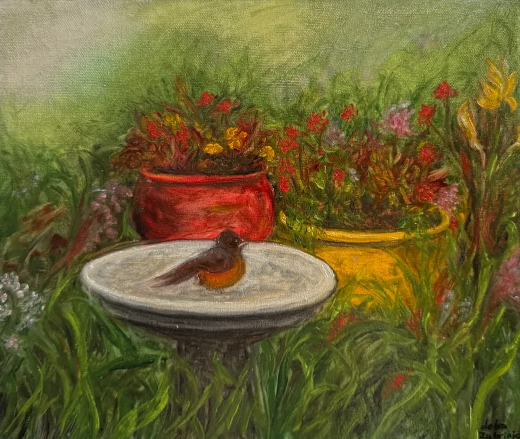 Birdbath Haven