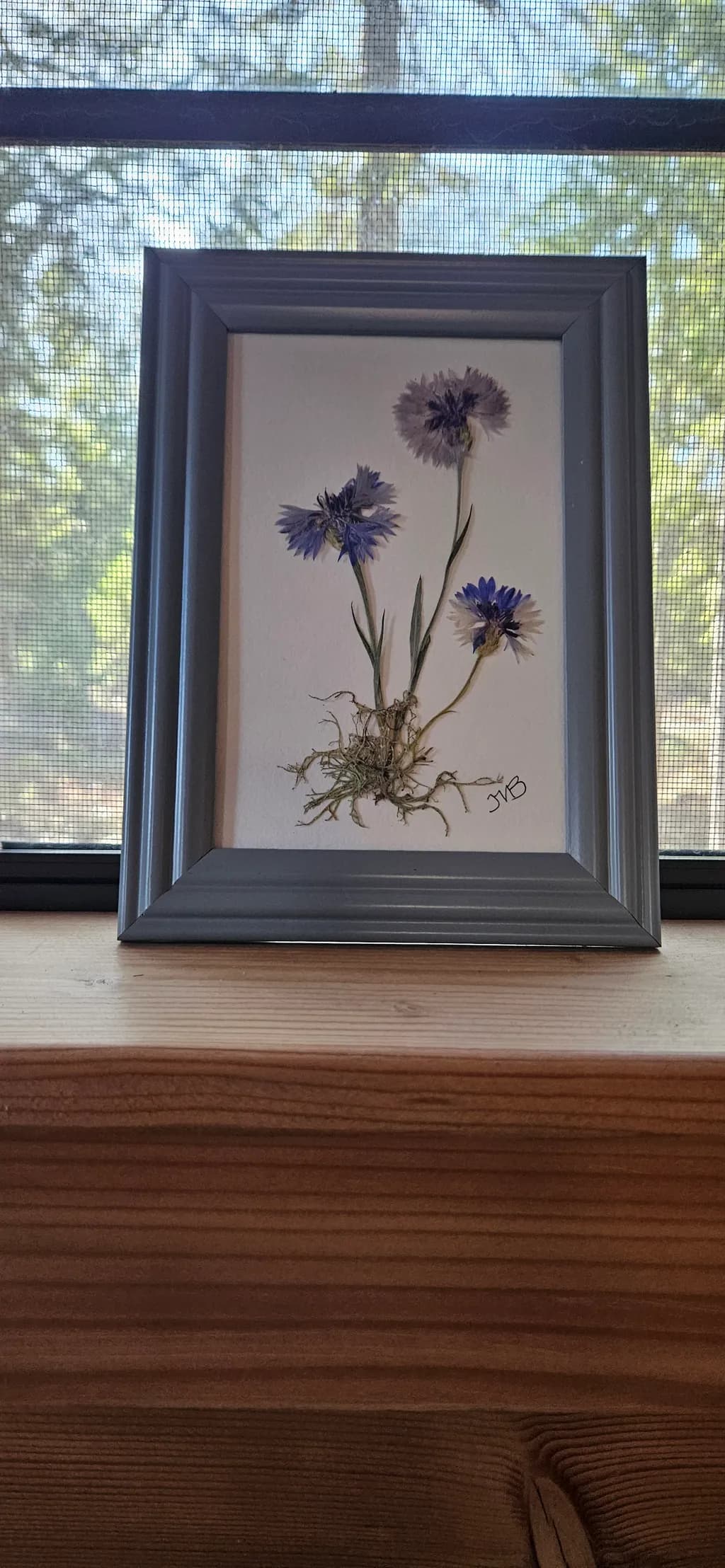 Blue Thistle Trio