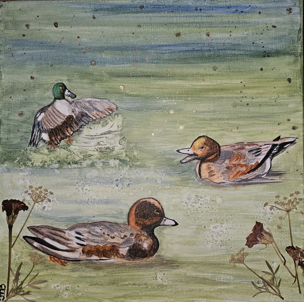 Osaka Ducks